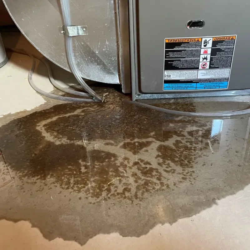 Pipe Burst and Leak Restoration in Lake of the Woods, AZ